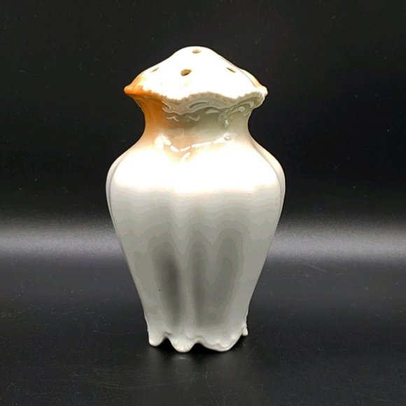 Antique Sugar Shaker Muffineer Victorian Floral - Picture 3 of 9